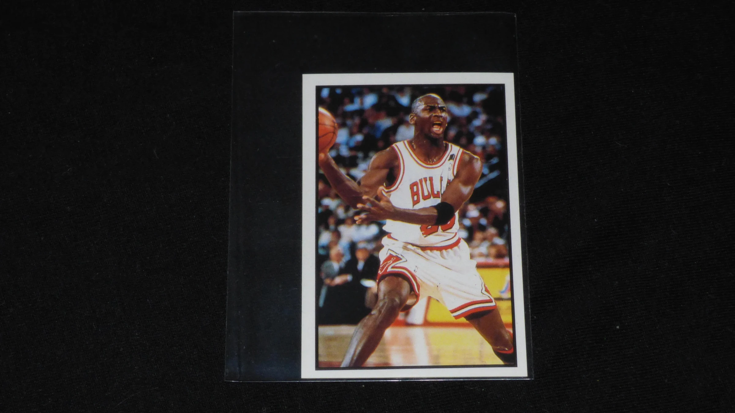 1992-93 Panini Basketball #12 Michael Jordan | NEUF.